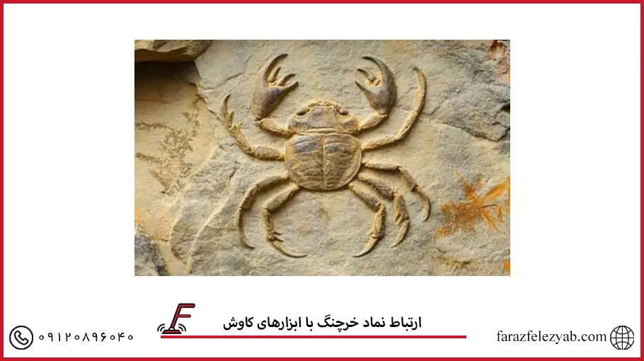ارتباط نماد خرچنگ با ابزارهای کاوش