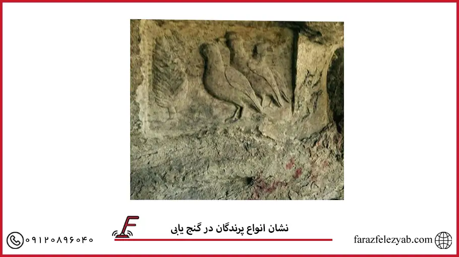 نشان انواع پرندگان در گنج یابی