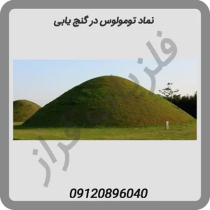 نماد تومولوس در گنج یابی