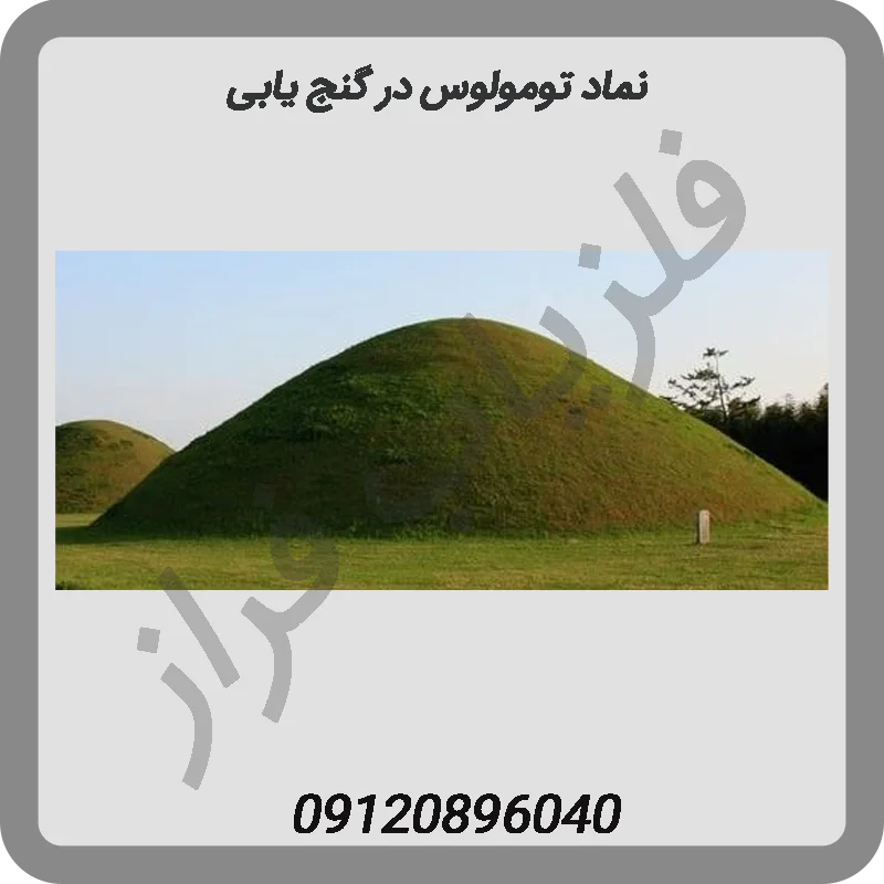 نماد تومولوس در گنج یابی