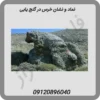نماد و نشان خرس در گنج یابی