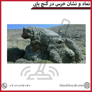 نماد و نشان خرس در گنج یابی