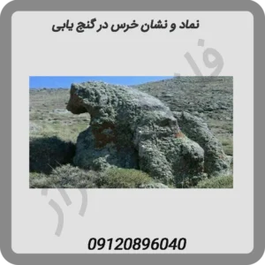 نماد و نشان خرس در گنج یابی