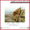 نماد و نشان رخ انسان در گنج یابی