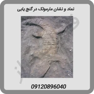 نماد و نشان مارمولک در گنج یابی