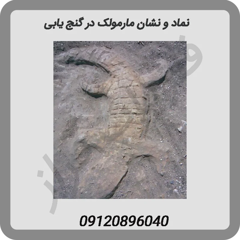 نماد و نشان مارمولک در گنج یابی