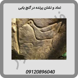 نماد و نشان پرنده در گنج یابی
