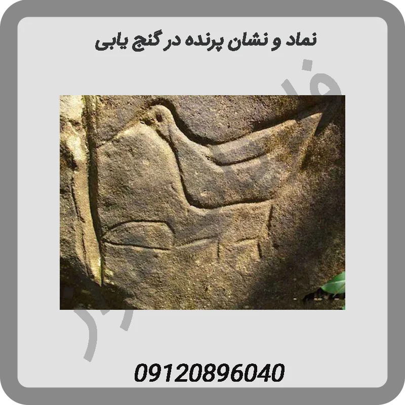 نماد و نشان پرنده در گنج یابی