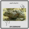 نماد-قورباغه-در-گنج-یابی