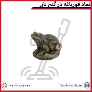 نماد قورباغه در گنج یابی