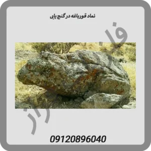 نماد-قورباغه-در-گنج-یابی