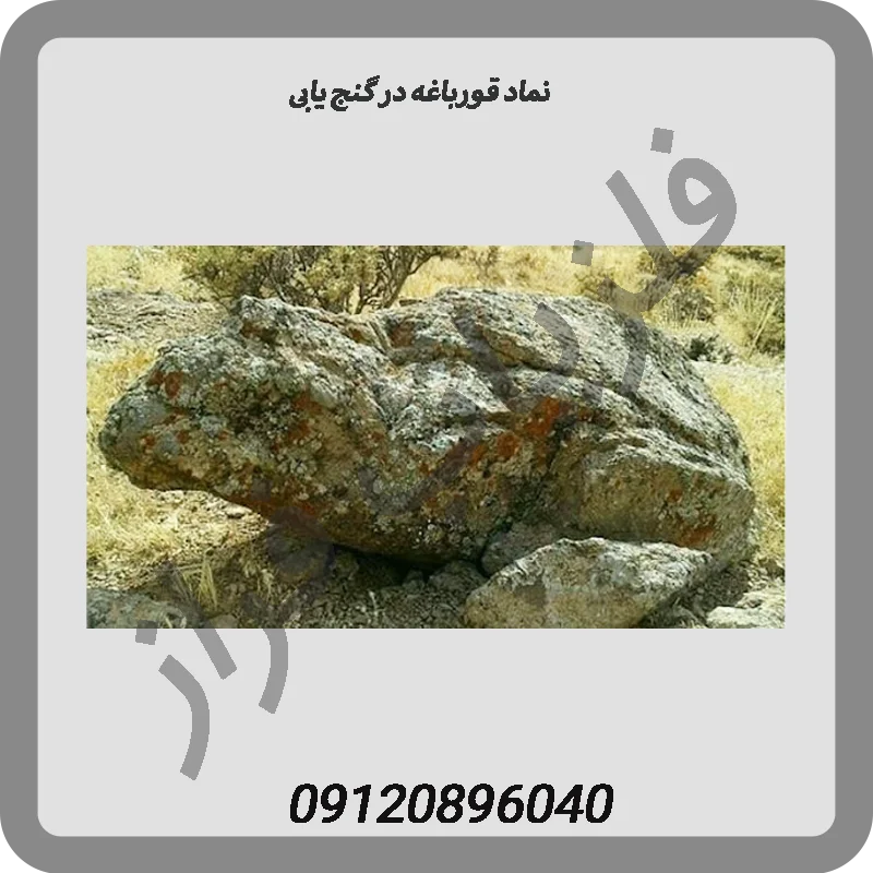 نماد-قورباغه-در-گنج-یابی