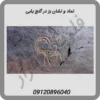 نماد و نشان بز در گنج یابی
