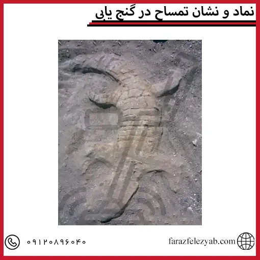 نماد و نشان تمساح در گنج یابی