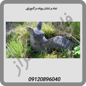 نماد و نشان روباه در گنج یابی