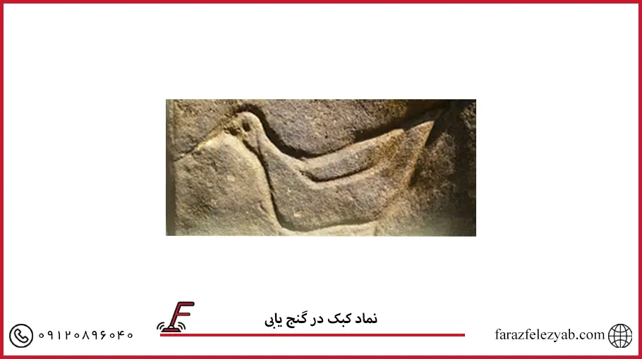 نماد کبک در گنج یابی
