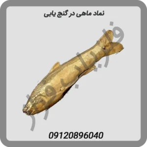 نماد-ماهی-در-گنج-یابی