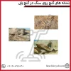 نشانه های گنج روی سنگ در گنج یابی